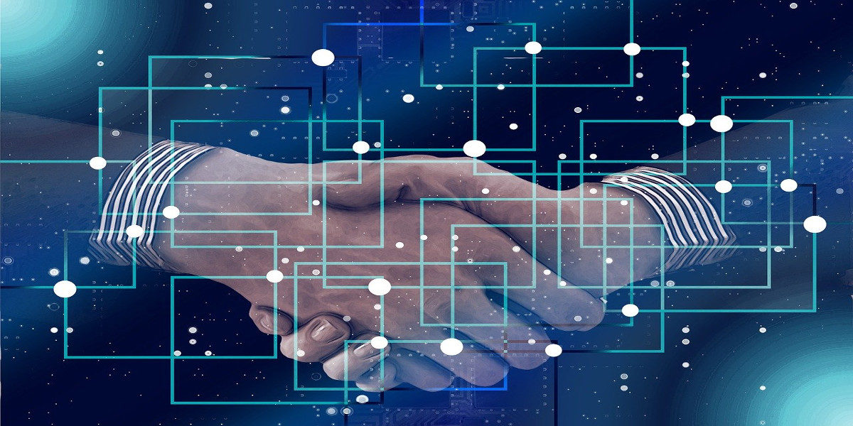 Solana: Ungereimtheiten über die SOL-Token Distribution