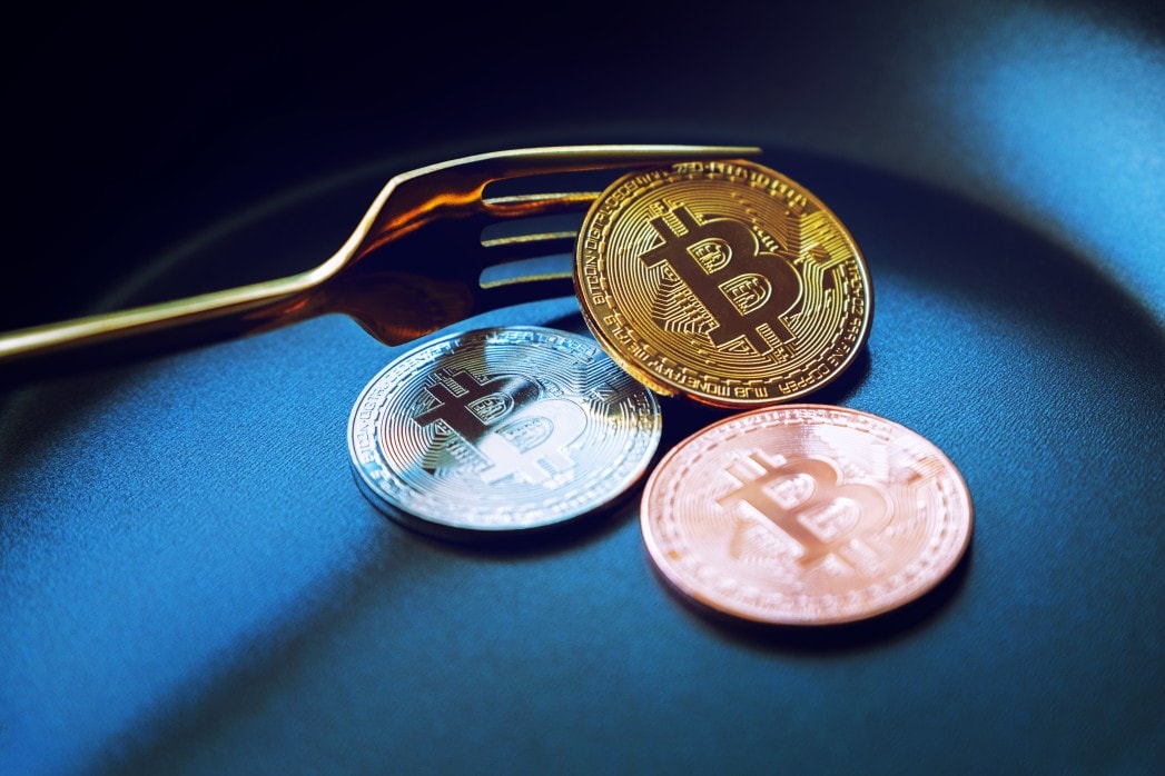 btc fork