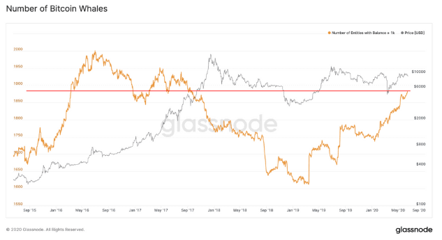 Bitcoin-Wale